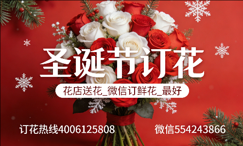 ���ݰ����ػ���